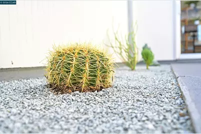 4024 Salem St, Concord, CA 94521 - Photo 44