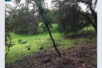 16 Brandywine Way, Martinez, CA 94553 - Photo 4