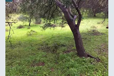 16 Brandywine Way, Martinez, CA 94553 - Photo 2