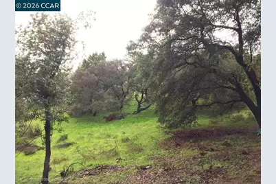 16 Brandywine Way, Martinez, CA 94553 - Photo 2