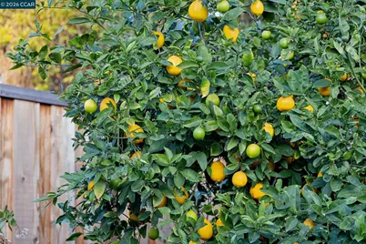 4508 Stevenson Blvd, Fremont, CA 94538 - Photo 26