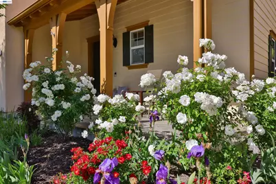 193 Lucy Ln, San Ramon, CA 94582 - Photo 4