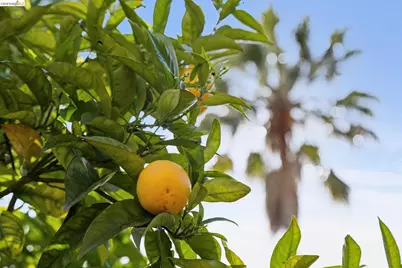 715 Hillgirt Cir, Oakland, CA 94610 - Photo 36