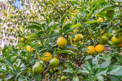 836 20th Street, Oakland, CA 94607 - Photo 44