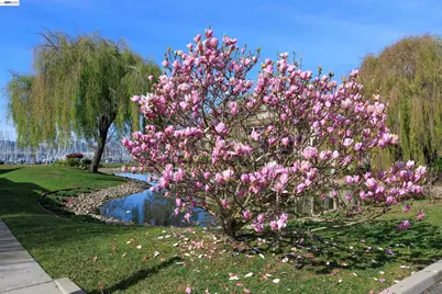 130 Lakeshore Ct, Richmond, CA 94804 - Photo 54