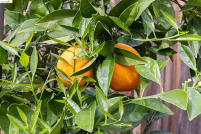 3994 Newcastle Rd, Concord, CA 94519 - Photo 32