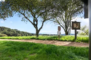 5170 Saddle Brook Dr, Oakland, CA 94619 - Photo 28