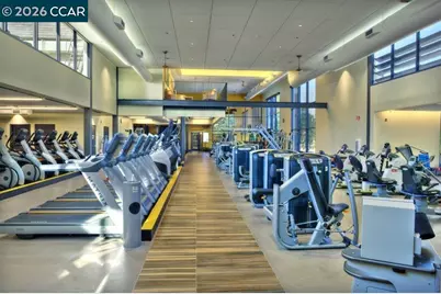 501 Falconwood Ct, Walnut Creek, CA 94595 - Photo 54