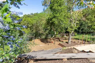 633 Moraga Ave, Piedmont, CA 94611 - Photo 40