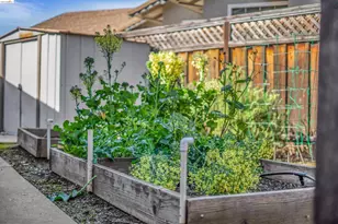 17 Kensington Ct, Brentwood, CA 94513 - Photo 38