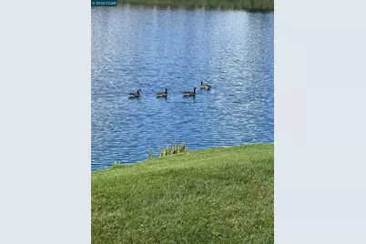 4059 Lakeshore Dr, San Ramon, CA 94582 - Photo 42