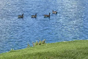 4059 Lakeshore Dr, San Ramon, CA 94582 - Photo 42