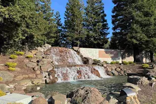 25318 Buckeye Dr, Castro Valley, CA 94552 - Photo 44