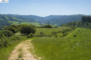 25318 Buckeye Dr, Castro Valley, CA 94552 - Photo 50