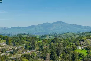 102 Hillcrest Dr, Orinda, CA 94563 - Photo 46