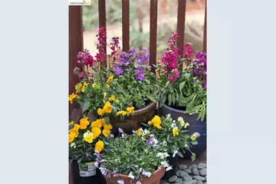 1650 Shasta St, Richmond, CA 94804 - Photo 20