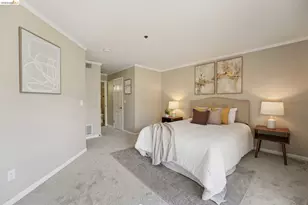 535 Pierce St, Albany, CA 94706 - Photo 30