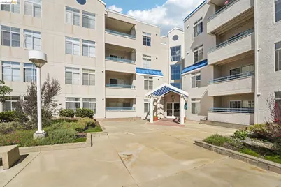 535 Pierce St #3216, Albany, CA 94706 - Photo 4