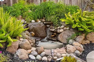 5534 Blackbird Dr, Pleasanton, CA 94566 - Photo 38