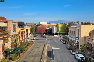 1201 Alta Vista Dr, Walnut Creek, CA 94596 - Photo 40