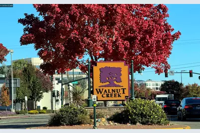 1201 Alta Vista Dr #209, Walnut Creek, CA 94596 - Photo 38