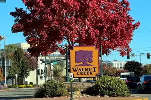 1201 Alta Vista Dr, Walnut Creek, CA 94596 - Photo 38