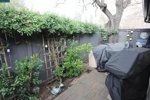 [Address not provided], Walnut Creek, CA 94597 - Photo 22