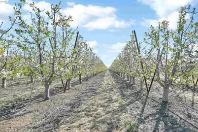 2650 Sellers Ave, Brentwood, CA 94513 - Photo 56