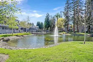 210 Sunspring Ct, Pleasant Hill, CA 94523 - Photo 34