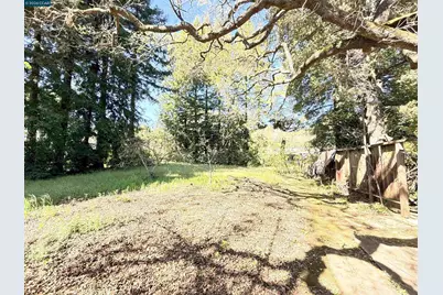 105 Camille Court, Alamo, CA 94507 - Photo 52