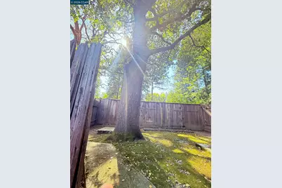 105 Camille Court, Alamo, CA 94507 - Photo 54