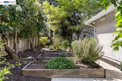 1397 Pine Tree Dr, Alamo, CA 94507 - Photo 54
