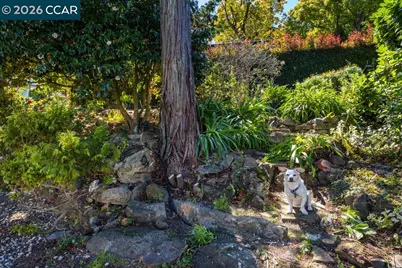 1040 Park Hills Rd, Berkeley, CA 94708 - Photo 30