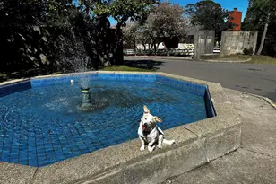 1040 Park Hills Rd, Berkeley, CA 94708 - Photo 36