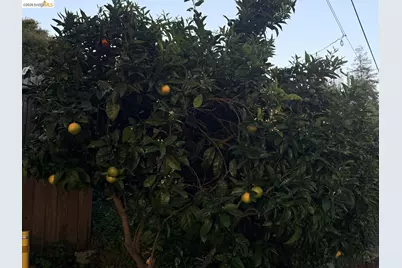 4432 Harbor View Ave, Oakland, CA 94619 - Photo 54