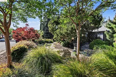 5849 Mitchell Canyon Ct, Clayton, CA 94517 - Photo 2