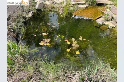 5849 Mitchell Canyon Ct, Clayton, CA 94517 - Photo 36