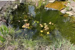 5849 Mitchell Canyon Ct, Clayton, CA 94517 - Photo 36