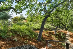 1059 Lizann Dr, Lafayette, CA 94549 - Photo 54