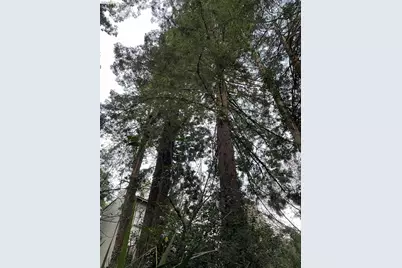 962 Regal Rd, Berkeley, CA 94708 - Photo 14