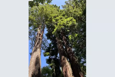 962 Regal Rd, Berkeley, CA 94708 - Photo 16