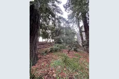 962 Regal Rd, Berkeley, CA 94708 - Photo 12