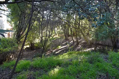 962 Regal Rd, Berkeley, CA 94708 - Photo 2