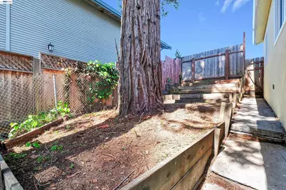 1467 Clay St, Hayward, CA 94541 - Photo 20