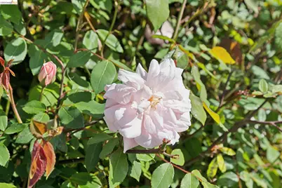 5850 Hazel Ave, Richmond, CA 94805 - Photo 22