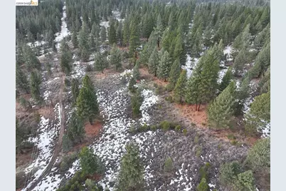 350 Espinal Dr, Portola, CA 96122 - Photo 6