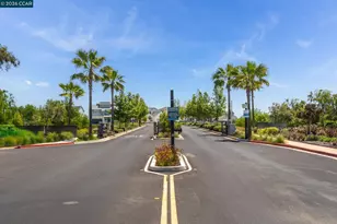 461 Halcyon Pl, Bethel Island, CA 94511 - Photo 44