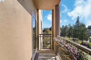 1375 Lick Ave, San Jose, CA 95110 - Photo 44