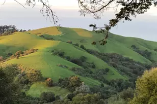 1501 Fairview Ave, Richmond, CA 94805 - Photo 40