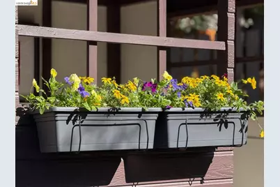 1950 Hopkins Street, Berkeley, CA 94707 - Photo 34